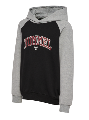hmlESSEN HOODIE